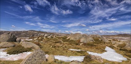 Near Seamans Hut - Kosciuszko NP - NSW T (PBH4 00 10517)